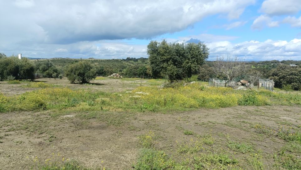 terreno en venta en castilblanco de los arroyos